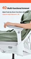 Chaise ergonomique Sayl, chaise de bureau à domicile avec support lombaire, chaise d'ordinateur multifonctionnelle pour l'apprentissage, l'atelier et le travail à domicile