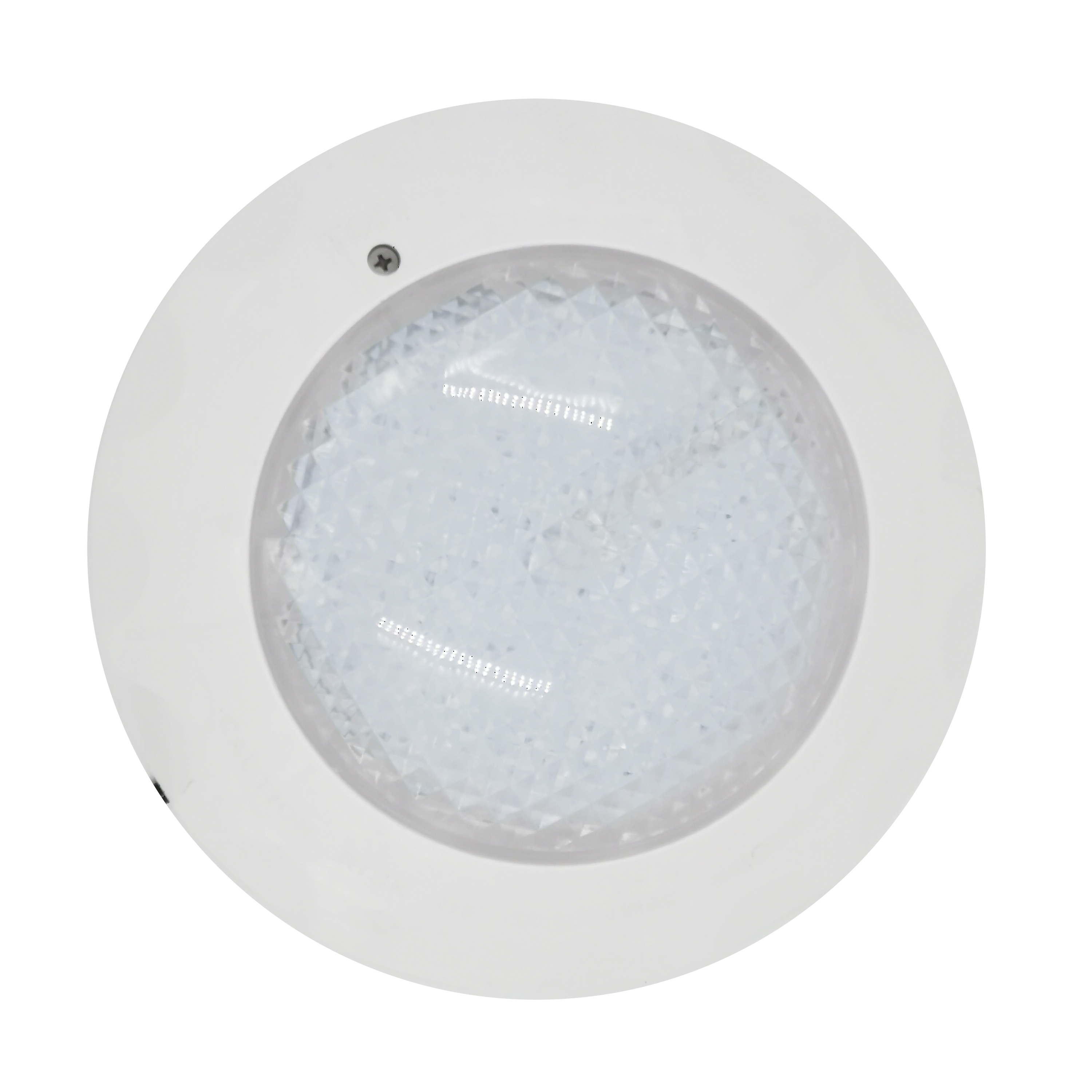 12V LED Pool Light with RGB and DMX Control IP68 Waterproof ABS Plastic 260mm Colorful Light for Underwater Swimming