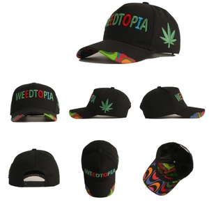 Gorra de Béisbol Clásica de 5 Paneles con Forro de Satén, Visera Ancha y Cierre de Hebilla, con Logotipo 3D Personalizado por Transferencia Térmica, Venta al Por Mayor - Product Image 2