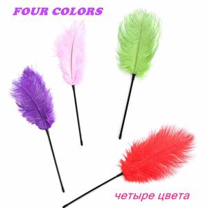 Plumes sexy Teasing Sticks SM Sex Toys pour jouer et flirter avec les esclaves - Product Image 5