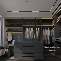 2025 Neue Moderne Schmuckvitrinen-LED-Beleuchtung DC24V Magnetische Linearform Hohe Helligkeit 5W Kunststoffschirm