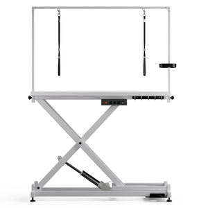FT-808 <span class=keywords><strong>Pro</strong></span> Table de toilettage pliable réglable en hauteur pour chien Produit pour animaux de compagnie Table de toilettage électrique FT - Product Image 3