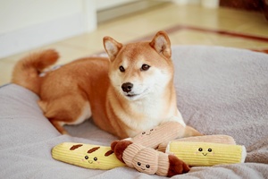 Juguete para Perro de Alta Calidad, Juguete de Peluche con Sonido de Erizo, Diseño Exclusivo - Product Image 4