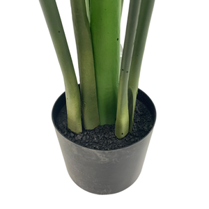 ต้นปาล์มเทียมขนาด120ซม. และบานาน่าสำหรับตกแต่งสวนในร่มของตกแต่งบ้านมีตัวเลือกแบบสด - Product Image 5