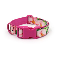 Nouveau produit chaud 2025 collier de chien imprimé avec boucle colorée collier de chien en Polyester logo colliers de chien fantaisie motif différent