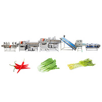 Dezoton Automatische Fruit- en Groenteverwerkingslijn Vortex Wasmachine Watercirculerende Groentewasinstallatie