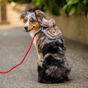 Pet <b>Backpack</b> For Dogs 7 Inch Vintage Style Self Portable Gray Blue Monochrome All Seasons - Product Image 4