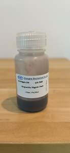 Perlas Magnéticas Modificadas con Streptavidina de Primera Calidad, Dispersión Estable para Inmunoprecipitación y Purificación de Proteínas - Product Image 3