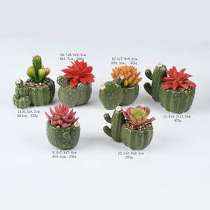 Piante succulente artificiali dei piccoli vasi da fiori ceramici a forma di <span class=keywords><strong>cactus</strong></span> su ordinazione all'ingrosso mini - Product Image 1