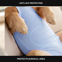 Combinaison de récupération post-stérilisation pour chien, style à bretelles, élastique, pour femelles, alternative au collier de protection, anti-léchage, respirante, en coton uni