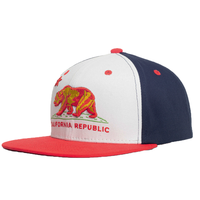 Casquette de baseball pour hommes, professionnelle, personnalisée, 6 faces, mode hip-hop, chapeau de sport, multicolore, pour l'extérieur, pour camionneur