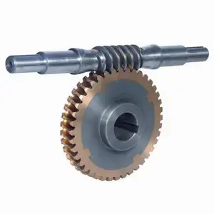 OEM/ODM đồng/thép quay spur Worm Gear truyền Worm Gear Trục nhựa và kim loại truyền trục bánh răng