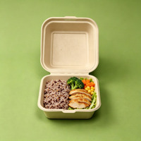 Boîte à clapet compostable en bagasse de canne à sucre, conteneur alimentaire jetable biodégradable pour la vente en gros aux restaurants