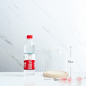 Cloches <span class=keywords><strong>en</strong></span> <span class=keywords><strong>verre</strong></span> transparentes <span class=keywords><strong>en</strong></span> gros, pas chères, différentes tailles, <span class=keywords><strong>cloche</strong></span> <span class=keywords><strong>en</strong></span> <span class=keywords><strong>verre</strong></span>, dôme <span class=keywords><strong>en</strong></span> <span class=keywords><strong>verre</strong></span>, <span class=keywords><strong>cloche</strong></span> <span class=keywords><strong>en</strong></span> <span class=keywords><strong>verre</strong></span> transparente avec base <span class=keywords><strong>en</strong></span> bois - Product Image 5