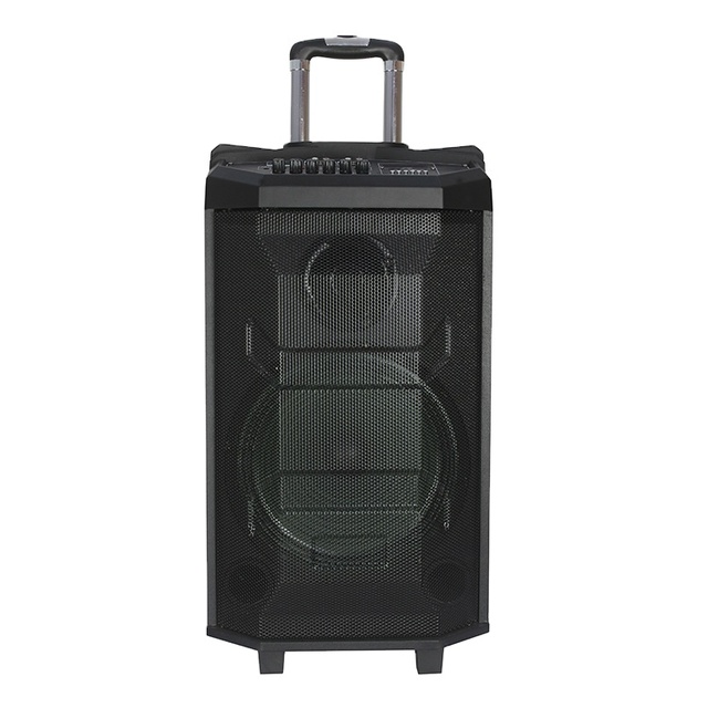 Factory Direct Sale Single 12 Inch Wooden Portable Speaker Tws bluetooth Sound Box Active Subwoofer Trolley Speaker with Mics