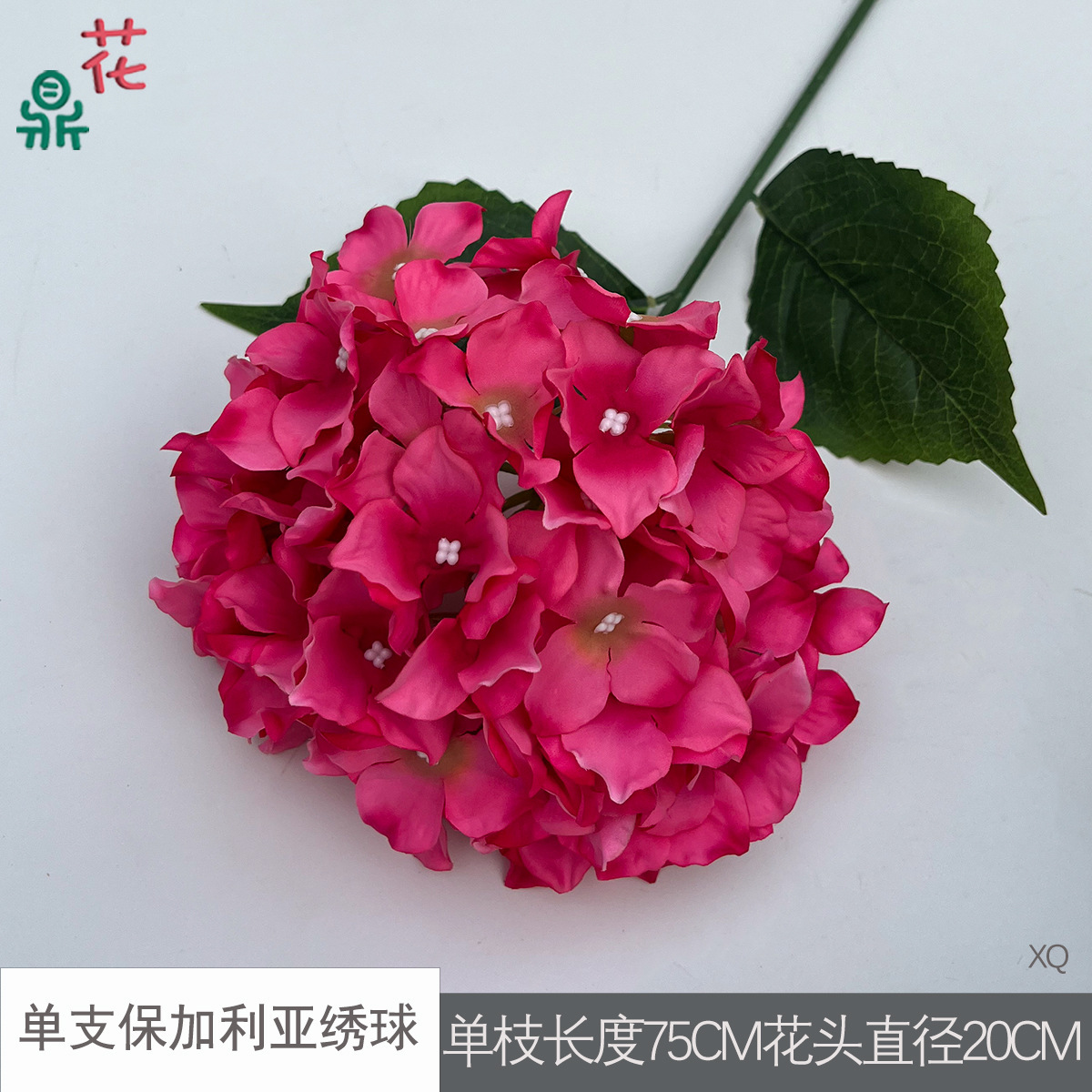 ไฮเดรนเยียบัลแกเรียเดี่ยว สีแดงกุหลาบ XQ