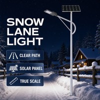 Lámpara Solar de Calle de Alta Luminosidad de 100W, LED SMD5054, con Panel Monocristalino para Iluminación de Carreteras en Exteriores