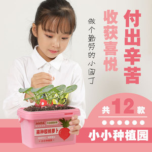 Kit de jardinage d'intérieur créatif DIY pour enfants : plantes en pot faites à la main (tournesol, fraise, gloire du matin, bleuet) en plastique - Product Image 2