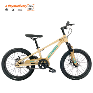 Vélo de montagne pour garçons MTBGO traditionnel, 3-15 ans, <span class=keywords><strong>20</strong></span> <span class=keywords><strong>pouces</strong></span>, acier, simple vitesse, avec amortisseur avant et panier en plastique - Product Image 2
