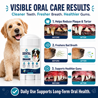 Gel réparateur buccal portable sans eau pour chiens et chats – Soin dentaire naturel pour animaux, blanchissant et éliminateur de tartre