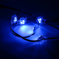 Lumières de Piste LED SHIJI Fabricant Usine Paysage 30mm RGBW UCS2904 Étanche Extérieur Lumière de Noël Permanente