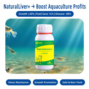NaturalLiver+ Aquatic Additive - TCM Kruiden + Probiotica - Lever- en galblaasverzorging - Versterkt de immuniteit - Visgroeistimulator - Product Image 3