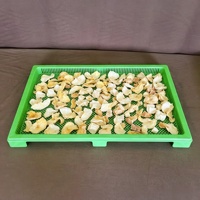 Plateau de séchage en plastique empilable robuste, plateau de drainage alimentaire pour la transformation industrielle des fruits et légumes