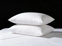 Oreiller de luxe personnalisé avec logo, 95% duvet d'oie, housse en coton blanc, régulateur de température, soutien doux, pour dormeurs sur le côté/dos