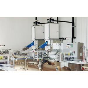 Línea de Producción de Hielo Seco WOBO Rentable, 1000kg/h-2000kg/h, Motor y Engranaje Opcionales, Uso Comercial Automático para la Conservación de Alimentos - Product Image 1