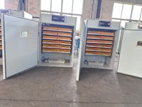 Incubateur solaire pour œufs de poule, 3000 œufs, machine d'éclosion hors réseau avec connexion au panneau solaire, prêt à l'emploi