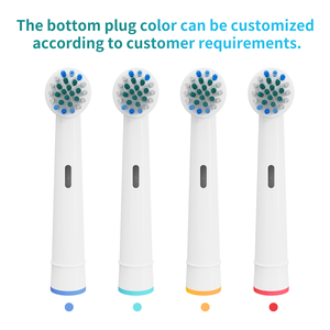 Tête <span class=keywords><strong>de</strong></span> brosse à dents à poils souples <span class=keywords><strong>de</strong></span> remplacement compatible avec Ral <span class=keywords><strong>B</strong></span> D12 D16 D100 P4000, fabricant OEM ODM - Product Image 2