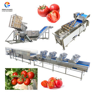 Machine de lavage et de séchage de tomates équipée d'un chariot élévateur avec bac basculant, ligne de nettoyage de tomates pour l'emballage direct - Product Image 1