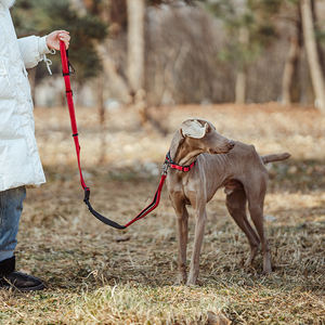 Freihändige Hundeleine mit Verstellbarem Geschirr Bungee-Leine Doppelgriff zum Spazierengehen Einziehbar Anpassbares Logo Verstellbar - Product Image 4