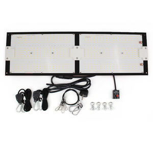 Prodotti Locali Spedizione Gratuita Figolite 240 Watt Lampada LED per Coltivazione 0 Tariffe 0 IVA Driver MeanWell Originale LM301H Quantum Board - Product Image 2