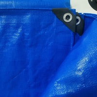 Œillets enduits imperméables pour toile et bâche, fixation pour bâche de voiture avec doublure