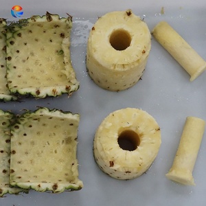 Línea de Pelado y Corte de Piña Rentable para Piña en Anillos, Rodajas o Cuñas - Product Image 5