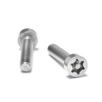 Vis de sécurité Torx en acier inoxydable de haute qualité avec tête à goupille