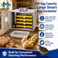 Incubateur entièrement automatique pour 240 œufs avec double alimentation et rotation à 360° en acier inoxydable 24 kg pour l'élevage de volailles OEM/ODM