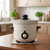 Casserole électrique multifonction anti-débordement, cuiseur lent et cuiseur sous vide
