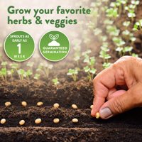 Lot de 70 kits de culture de légumes et d'herbes biologiques en fibres végétales, sans OGM, avec variétés anciennes faciles à cultiver