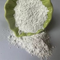 Tierra Decolorante Industrial de Alta Eficiencia para la Purificación de Lubricantes y Aceites Usados de Motor