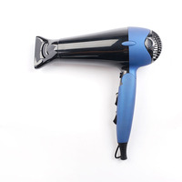 Sèche-cheveux Salon professionnel Sèche-cheveux haute puissance Moteur 2000W AC avec boucle de suspension/concentrateur/2 diffuseurs pour voyage/maison