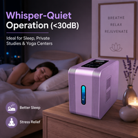 Machine d'inhalation d'hydrogène 300 ml/min, pureté 99,992 %, électrolyseur SPE PEM, 220 V, 450 W, boîtier en tôle galvanisée