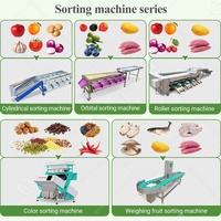 Citroen Sortering Aardbei Sinaasappel Knoflook Guave Granaatappel Klein Formaat Fruit Sorteermachine