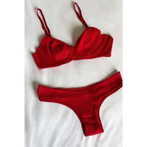 Ropa Interior de Punto de Seda Roja de Alta Calidad, Delgada, de Talle Bajo, Corte Clásico, para Uso Diario, Tallas XXS-XL, Cintura Bordada, Transparente - Product Image 3