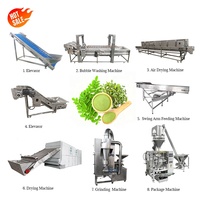 Kwaliteitsborging Moringa-bladerenpoeder productielijn Moringa-bladerenpoeder maakmachine Moringa-bladeren-droogmachine