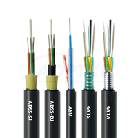 Cable de Fibra Óptica Monomodo de 2, 4, 6, 8, 12, 24 Núcleos, GYFXTY G652, Cable de Fibra Óptica para Exteriores de 24 Núcleos