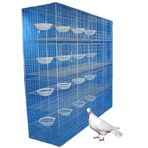 Factory Produces Big Space Strong 16 Nests Pigeon Cage Commercial Breeding Pigeon Cage For Sale