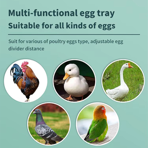 Mới hoàn toàn tự động thông minh hộ gia đình đa chức năng gà, vịt và ngỗng lồng ấp với 10 lồng ấp trứng - Product Image 4