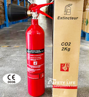 Extincteur à CO2 certifié CE pour les incendies électriques et de classe B, OEM